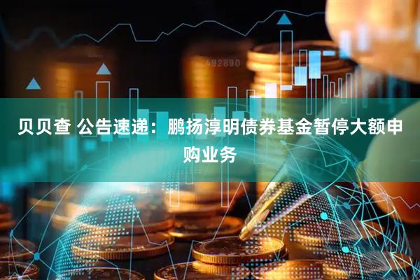贝贝查 公告速递：鹏扬淳明债券基金暂停大额申购业务