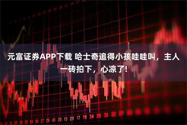 元富证券APP下载 哈士奇追得小孩哇哇叫，主人一砖拍下，心凉了!