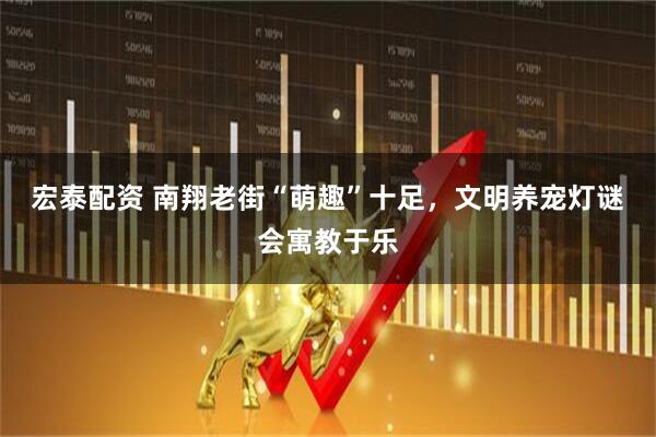 宏泰配资 南翔老街“萌趣”十足，文明养宠灯谜会寓教于乐