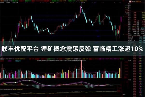 联丰优配平台 锂矿概念震荡反弹 富临精工涨超10%